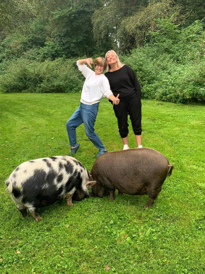 그레이트야머스 Starry Meadow & Rescued Animal Experiences 빌라 외부 사진